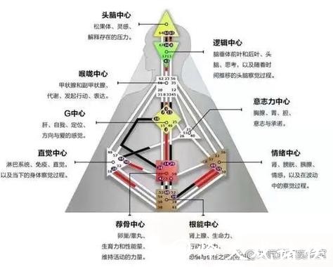 世界杯买球背后的心理学分析探讨